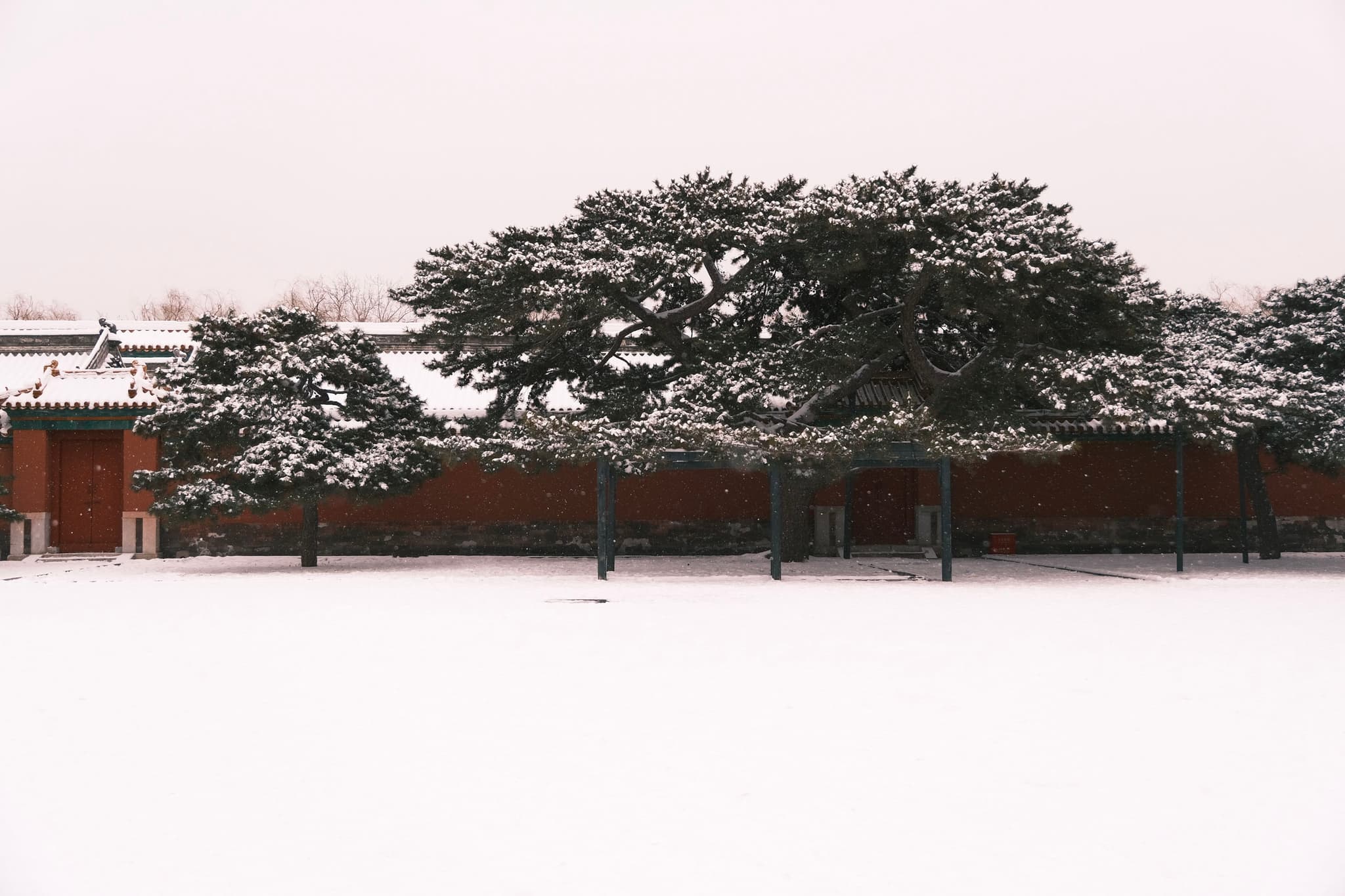 故宫的雪