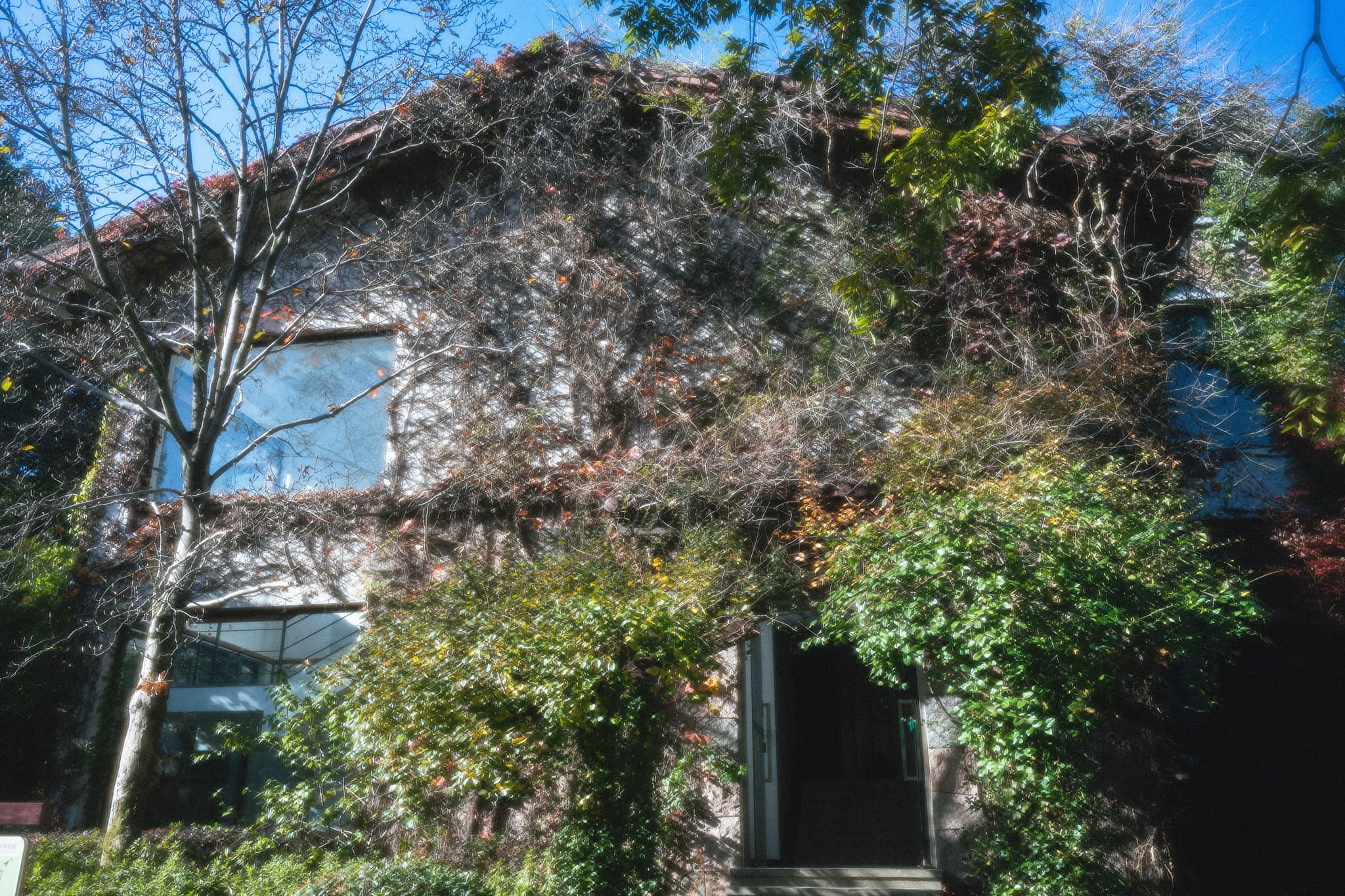 中土世界的小屋