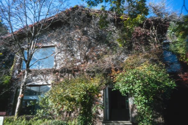 中土世界的小屋