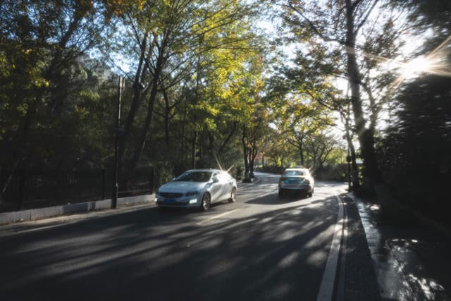 午睡后的下午在路边散步